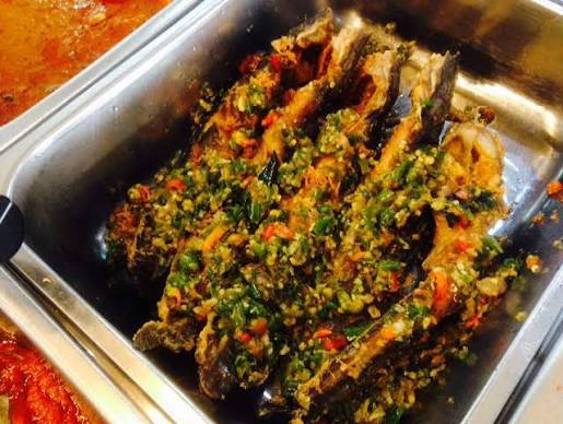 Ikan Keli Berlado